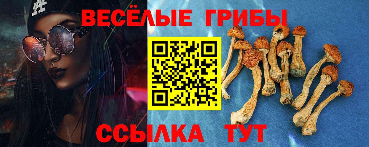 Фурманов  Галлюциногенные грибы мицелий  Псилоцибиновые грибы мухоморы  Вход с VPN 